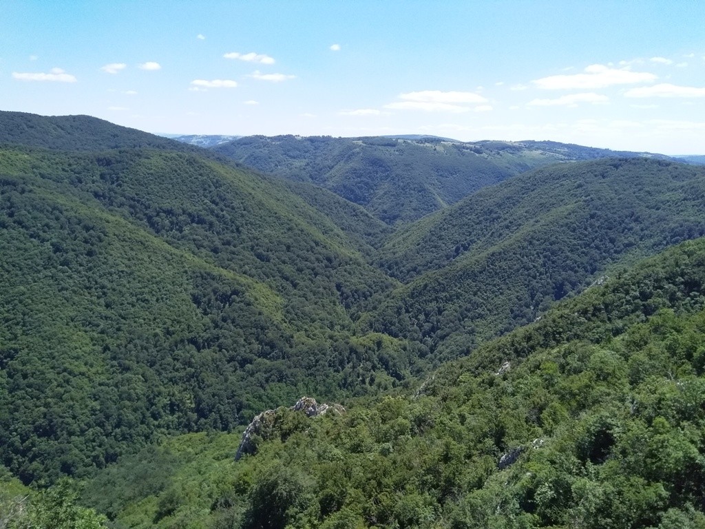 Kanjon Brnjice