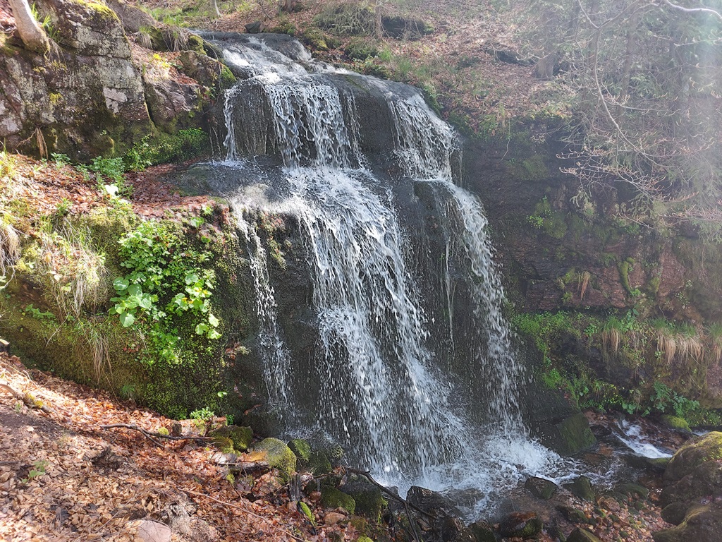 Bratkovica