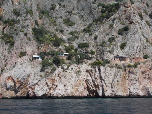 karulja