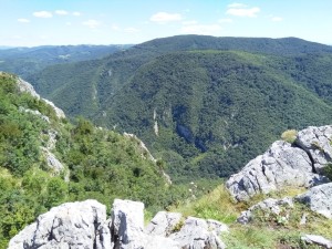 Sokolovica