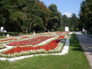 arandjelovac-park-41